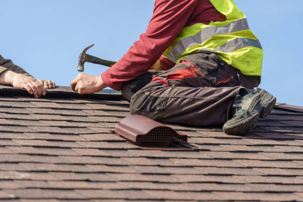 Best Storm Damage Roof Repair  in Oglesby, IL