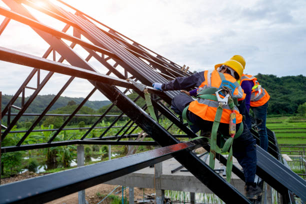 Gutter Installation and Roofing in Oglesby, IL